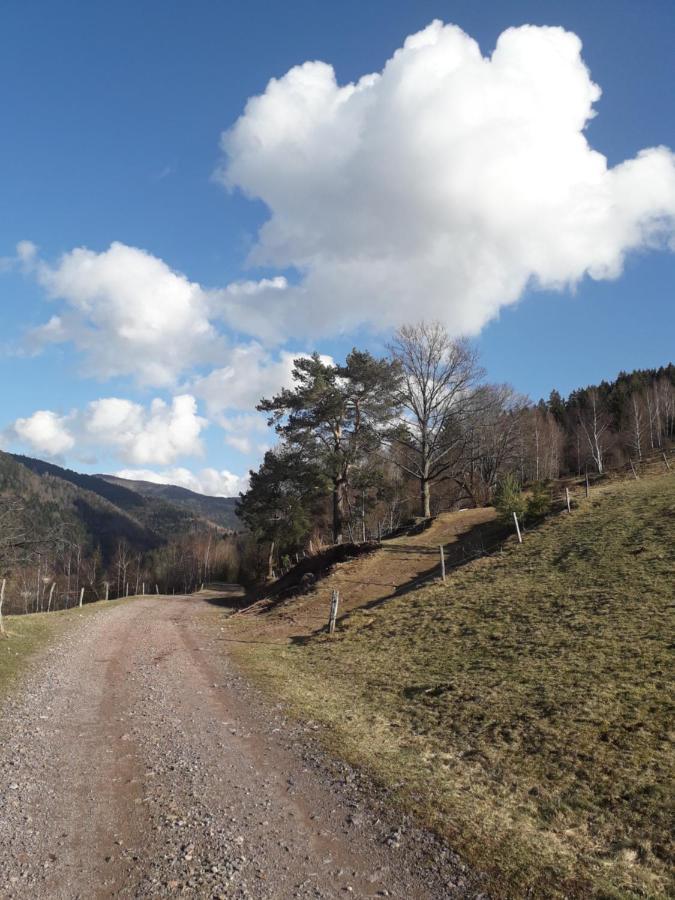Hebergement Francois Mathieu Saint-Maurice-sur-Moselle Exterior foto
