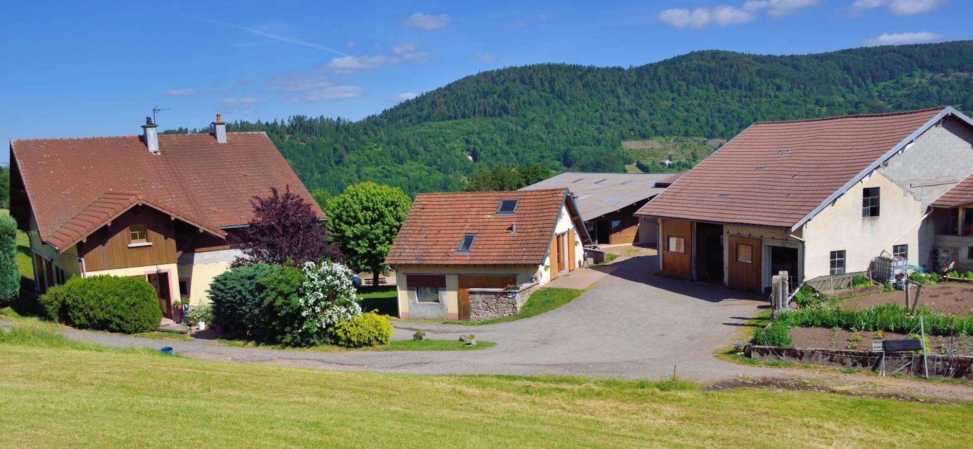 Hebergement Francois Mathieu Saint-Maurice-sur-Moselle Exterior foto
